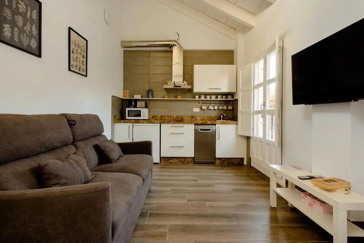 Apartment Increible Apto 3º San Miguel Centrocatedral+Parking+Wifi Granada Spain